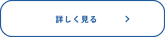 詳しく見る